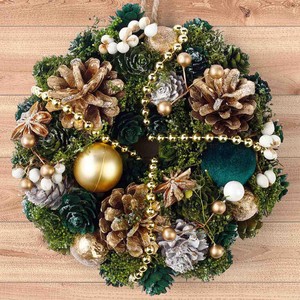 ナチュラルリース 約17cm リーガルグリーン Green Beans | グリーン