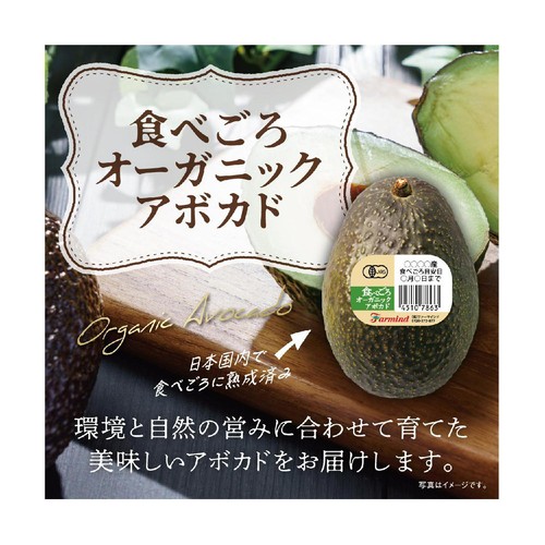 【有機】輸入 ファーマインド 食べごろアボカド(冷蔵庫保管) 190g 1個