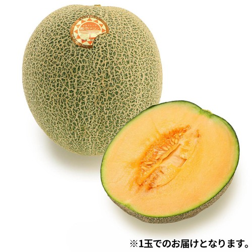 ［食べごろ+］千葉県産 飯岡タカミレッドメロン(赤肉) 900g 1玉