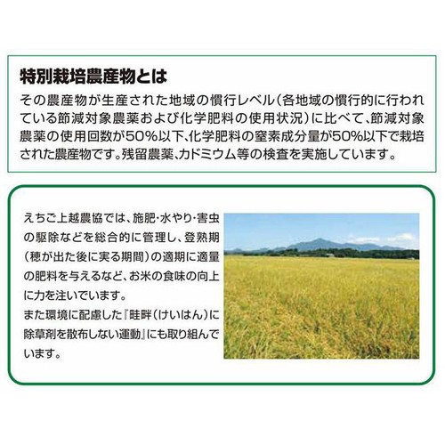 無洗米 特別栽培米 新潟県産コシヒカリ 2kg トップバリュ