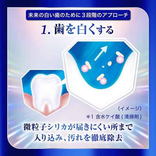 ヘイリオン シュミテクト フューチャーホワイトケア ブライトミント 80g