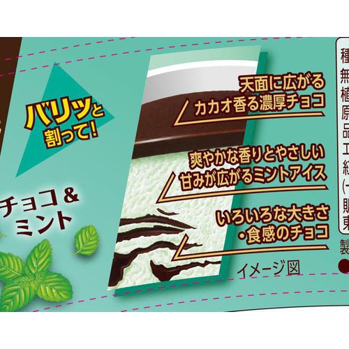 森永乳業 バリッチェチョコ&ミント 110ml