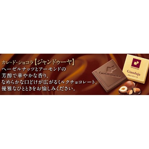 森永製菓 カレドショコラ ジャンドゥーヤ 18枚入 Green Beans