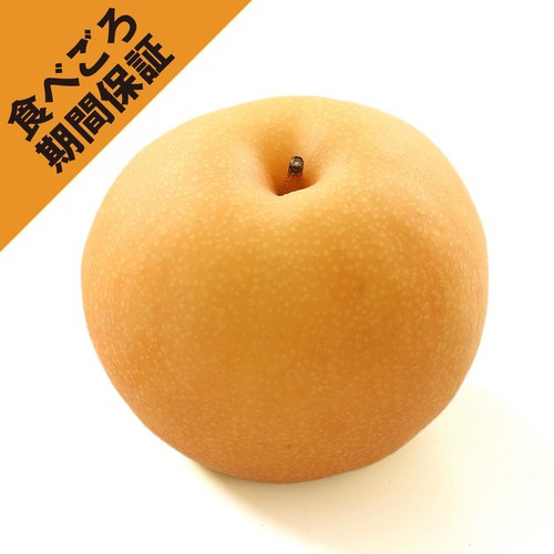［食べごろ+］長野県産 小林さんたちの豊水梨 大玉 1個 320g
