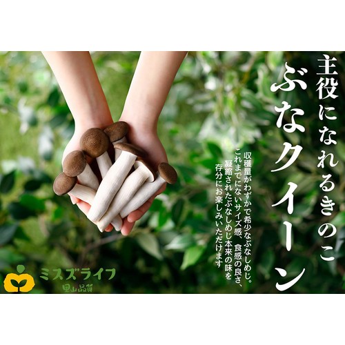 長野県産ミスズライフ プレミアムぶなしめじ ぶなクイーン 100g 1袋