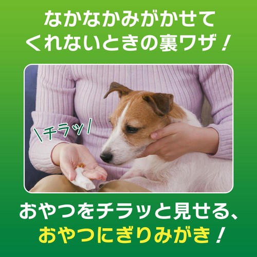 【ペット用】 ライオン PETKISS 指サック歯みがきシート 無香料 犬・猫用 12枚