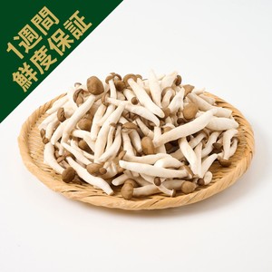 鮮度+］長野県産ミスズライフ そのまま使える里山ぶなしめじ 500g 1袋