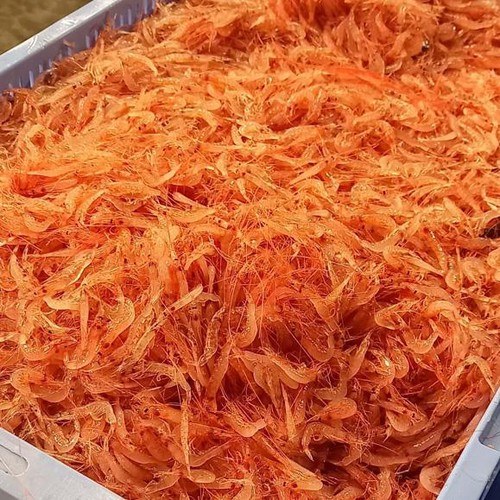 【冷凍】 駿河湾産 生桜えび (生食用) 60g
