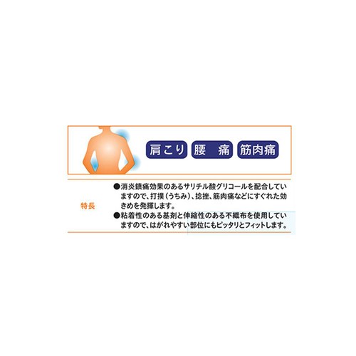 【第3類医薬品】◆冷感アスコラルシップS 60枚
