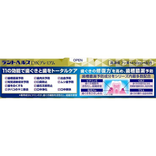 ライオン デントヘルスDXプレミアム 歯槽膿漏トータルケア 90g