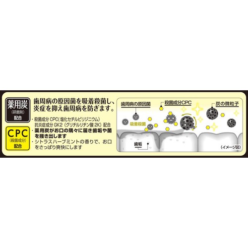 小林製薬 歯周病ケア 薬用スミガキ 90g