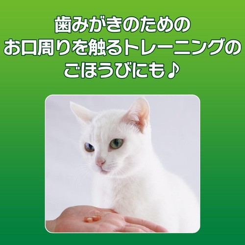 【ペット用】 ライオンペット PETKISS ネコちゃんの歯みがきおやつ ササミ プチロール 16g