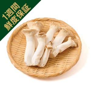 エリンギページ 鮮度+] 新潟県産 雪国えりんぎ 300g 1パック Green Beans | グリーン