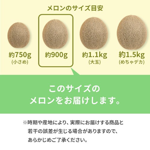 ［食べごろ+］千葉県産 飯岡タカミメロン(青肉) 900g 1玉