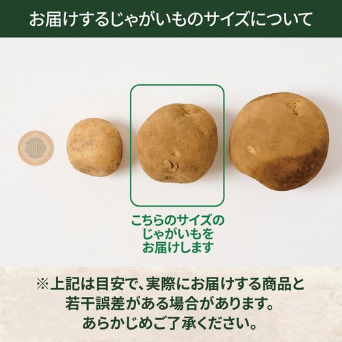 じゃがいも 夏の新じゃがいも》小玉サイズ！品種：普賢丸（ふげんまる）2KG
