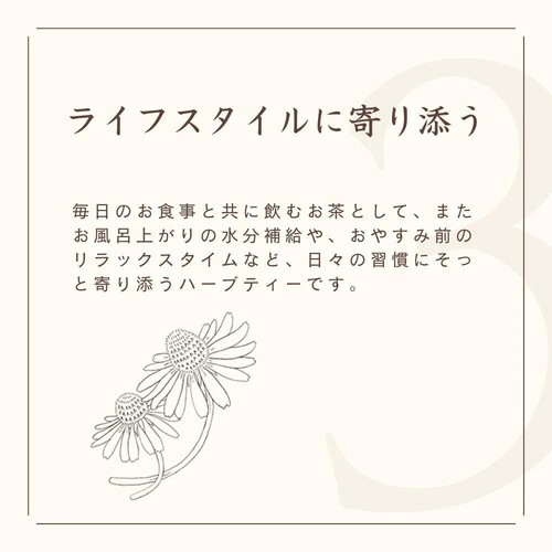 生活の木 私の30日茶 ラズベリーリーフブレンド 7個入