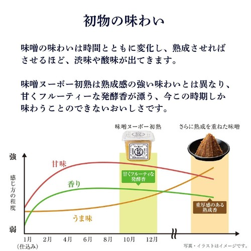 ひかり味噌 【冷蔵お届け】味噌ヌーボー初熟 400g