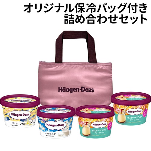 ハーゲンダッツ ハーゲンダッツコレクション 110ml x 4個入