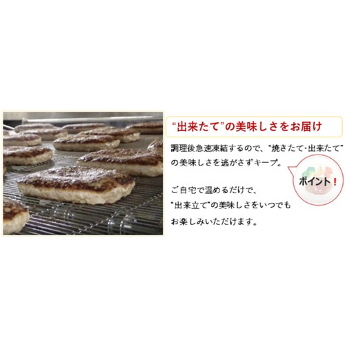 日東ベスト JG ハンバーグヴィアンド【冷凍】 110g