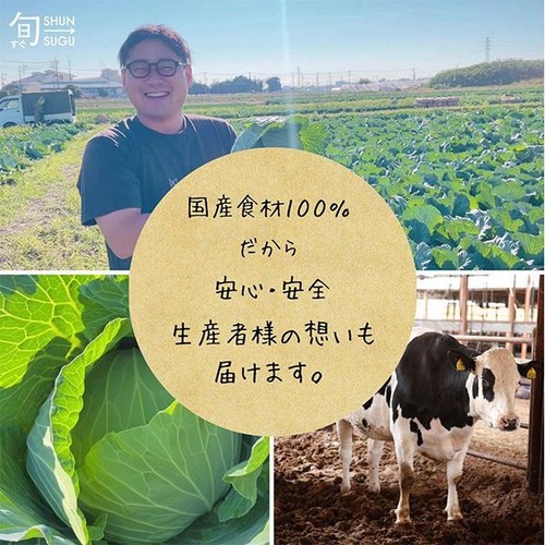 ファンデリー 旬をすぐに 焼きロールキャベツ【冷凍】 208g