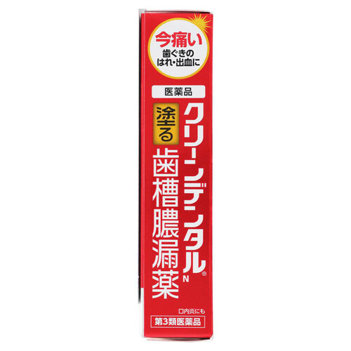 第3類医薬品】クリーンデンタルN歯槽膿漏薬 16g: サンドラッグ