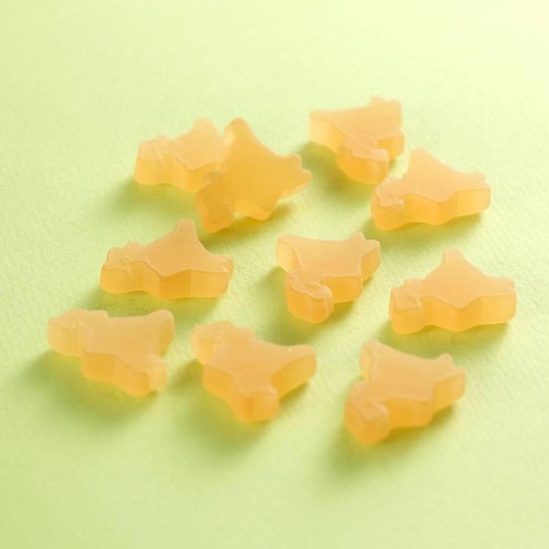 しゃけを 北海道グミ メロンソフトクリーム味 40g
