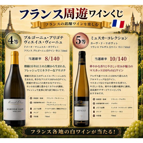 【数量限定】【フランス産】 特賞はシャブリ1級!フランス周遊ワインくじ 750ml