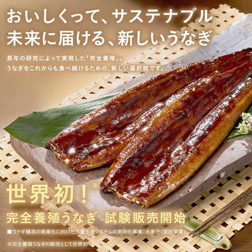 【冷凍】山田水産 鹿児島県産 完全養殖うなぎ蒲焼 大 1尾(151g)【数量限定 135点】