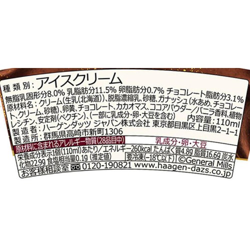 ハーゲンダッツ ミニカップ ガナッシュショコラ 110ml