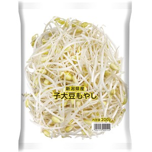 もやし 300x300.jpg