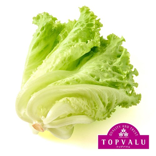 E・ヴュイヤール、VERTES、海外版超希少レゾネ、新品額付 トップバリュ減の恵み 茨城県産 ピュアヴェール 90g Green Beans