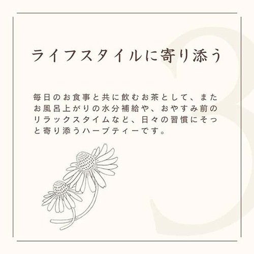 生活の木 私の30日茶 女性の味方ブレンド 7個入