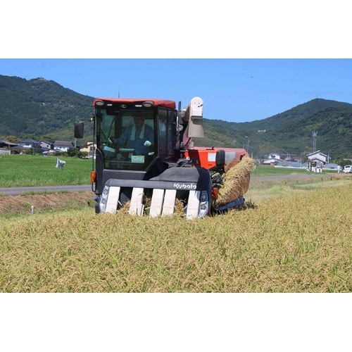 【令和8年産】 カワサキ森田屋 佐賀県産 七夕コシヒカリ 特別栽培米 3kg