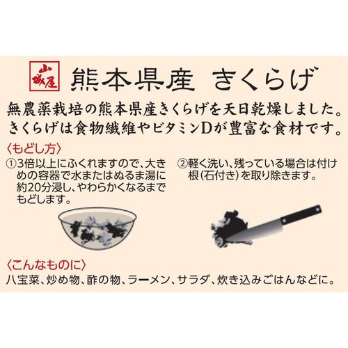 山城屋 熊本県産きくらげ 12g