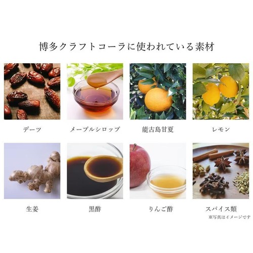 THE FIRST DAY 博多クラフトコーラ 240g