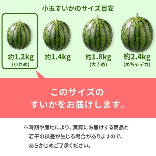 国内産 紅こだますいか 小さめ 1.2kg 1玉