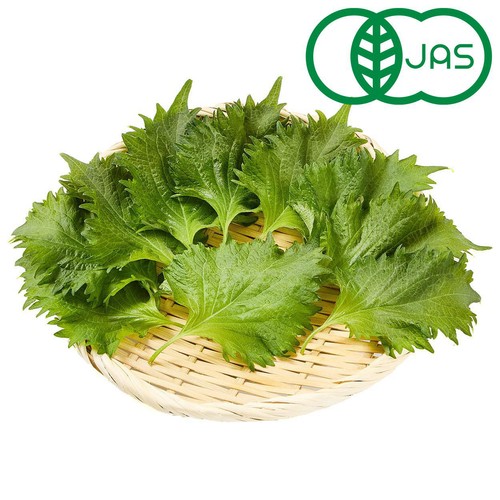 有機】茨城県産矢澤園芸 大葉 10枚 1袋 Green Beans | グリーン