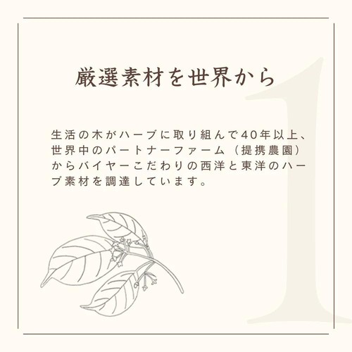 生活の木 私の30日茶 ラズベリーリーフブレンド 7個入