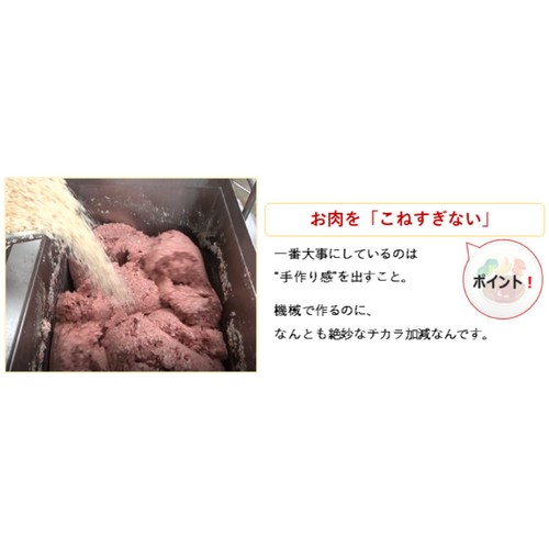 日東ベスト JG ハンバーグヴィアンド【冷凍】 110g
