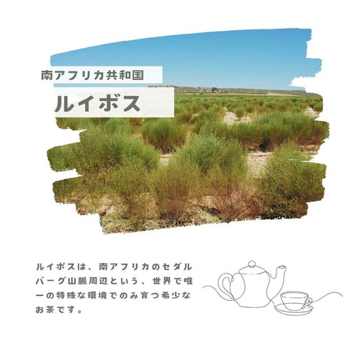 ガスコ オーガニックルイボスティー(非発酵タイプ) 30袋