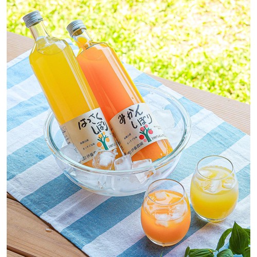 伊藤農園 ピュアジュースみかん 750ml Green Beans | グリーンビーンズ