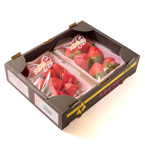 栃木県産 いちご(スカイベリー) 箱 270g 2パック入 1パック当たり6～12