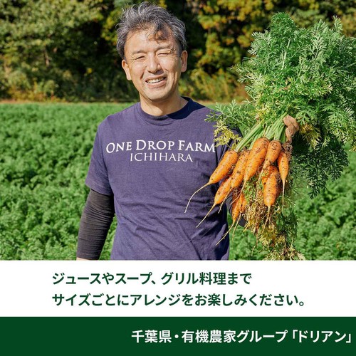 有機】千葉県産 まかないにんじん 2kg 1袋 Green Beans | グリーン