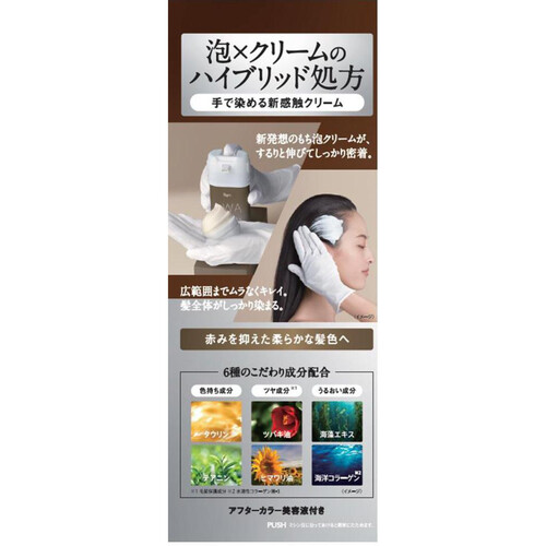 Amazon | 【白髪染め レディース】ビゲン 泡クリームカラー 6N
