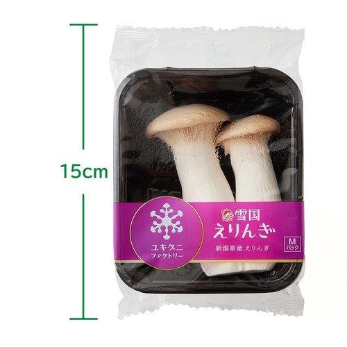 鮮度+］新潟県産 雪国えりんぎ 100g 1パック Green Beans | グリーン