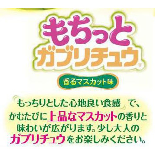 明治チューインガム もちっとガブリチュウ 香るマスカット味 35g