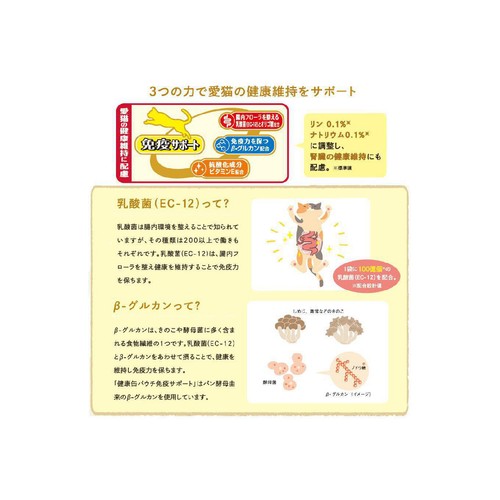 【ペット用】 アイシア 健康缶パウチ 免疫サポート ささみペースト 40g