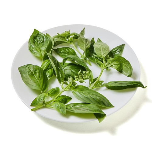 国内産 スイートバジル 12g Green Beans | グリーンビーンズ by AEON