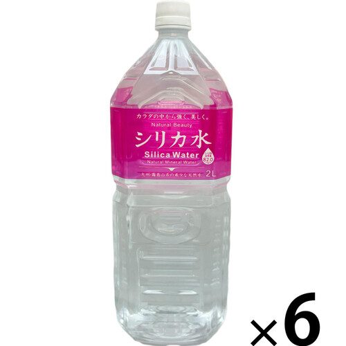 友桝飲料 シリカ水 1ケース 2000ml x 6本 Green Beans | グリーン