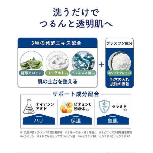 アロインス アロエメイド 発酵クリアパック AY  170g